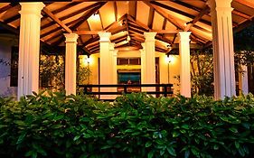 Camellia Dwelling